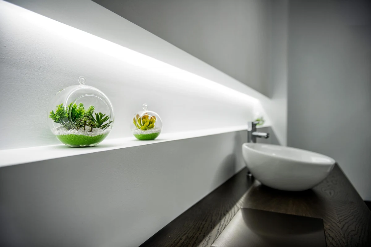 detalle flores 1 Actívate clinic decorative plants on illuminated shelving