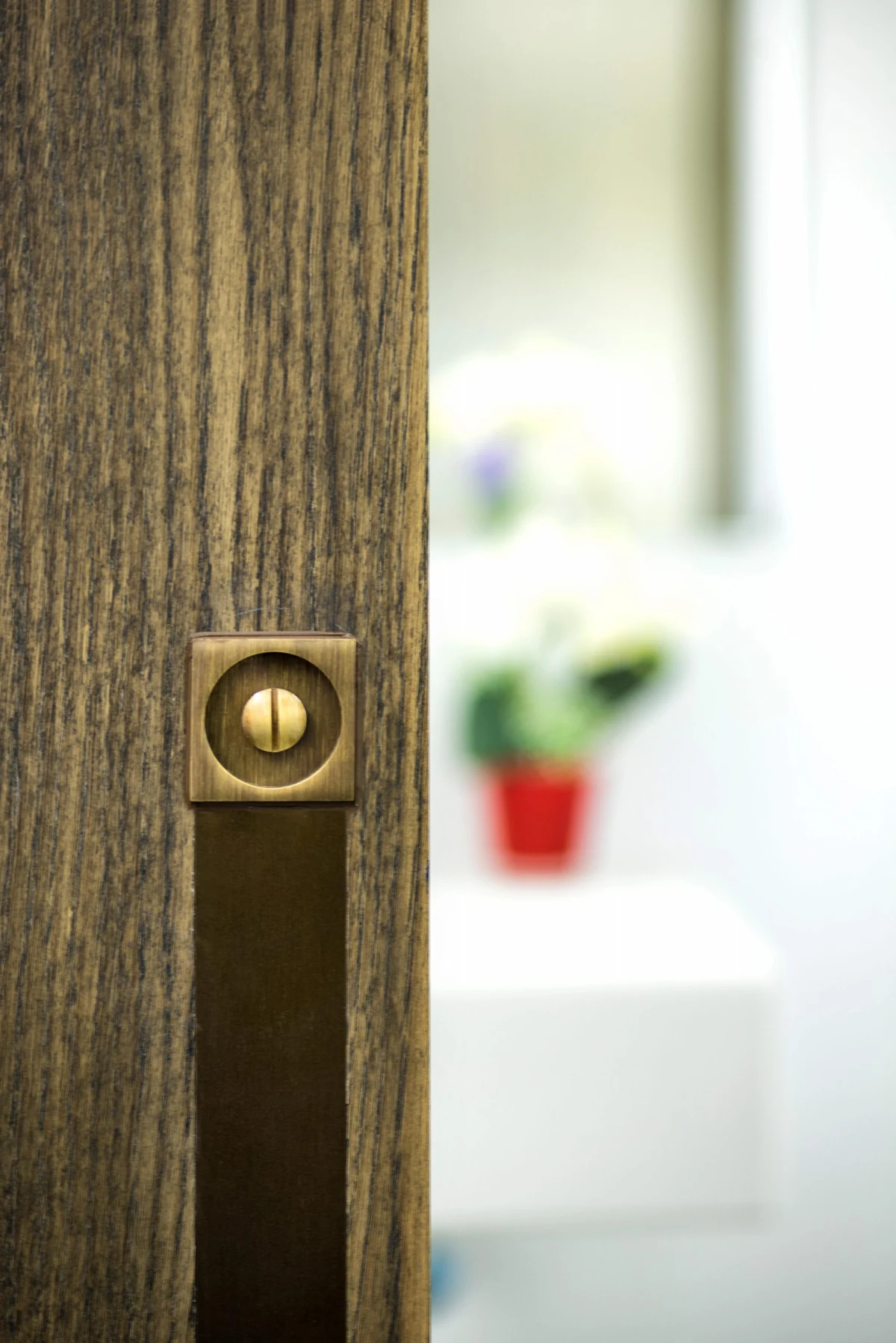 puerta 1 Detail of timber door and hardware