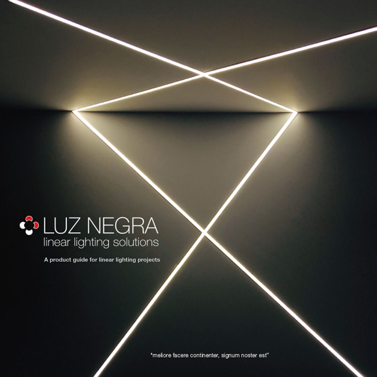 LUZ NEGRA